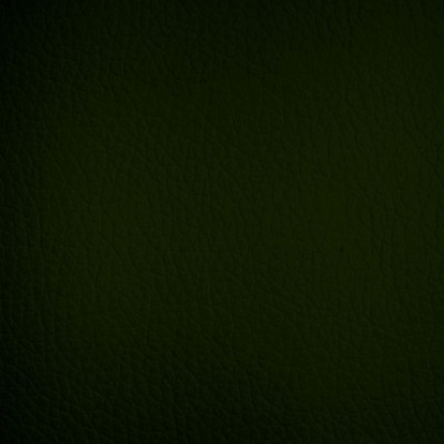 кожзам Oregon 01, темно-зеленый